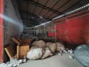 Galpão: / Comercial / São Cristóvão