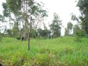 Galpão / Depósito / Armazém para venda em Chacara Das...