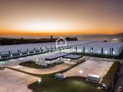 Galpão / Depósito para Locação em Guarulhos/SP Vila...