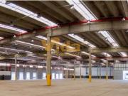 Galpão / Depósito para Locação em Osasco/SP Vila Yara