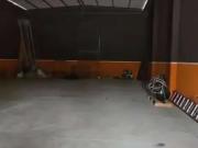 Galpão / Depósito para Locação em Praia Grande/SP...