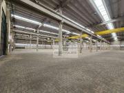 Galpão / Depósito para Locação em São Paulo/SP Vila Alpina