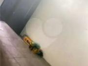 Galpão / Depósito para Locação em São Paulo/SP Vila Império