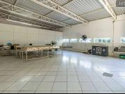 Galpão / Depósito para Locação em São Paulo/SP Vila Ipojuca