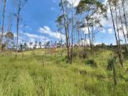Galpão / Depósito para Venda em Jarinu/SP Centro