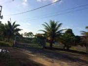 Galpão / Depósito para Venda em Recife/PE Guabiraba 1...