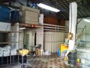 Galpão / Depósito para Venda em São Paulo/SP Cambuci