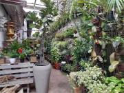 Galpão / Depósito para Venda em São Paulo/SP Caxingui