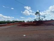 GalpÃ£o para alugar, 2400 mÂ² por R$ 54.000,00/mÃªs Zona...