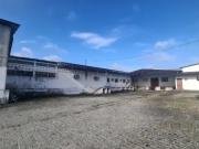 Galpão para locação 2498