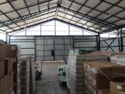 GALPÓN 700 M² CALLE MIGUEL ÁNGEL PUENTE ALTO Cód 154