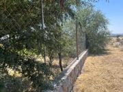 GANGA 5.7 HECTAREAS EN COMUNIDAD DE LA AURORA CON POZO,...