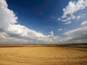 Gangasandra, South Bangalore Commercial Land 500 Acre in...