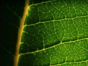 Gap Vente Appartement 05