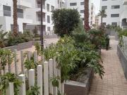 Garçonnière à louer 60 m² à victoria Bouskoura