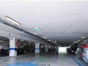 Garage Posto auto in affitto a Fano