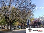 Garaje, Centro San Lorenzo, Gijón