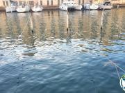 Garaje en Empuriabrava