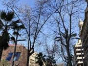 Garaje en venta en avenida Diagonal, Barcelona, de 21 m²...