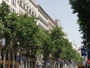 Garaje Venta Madrid