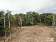 Garaje Zona Camilo Dolz
