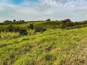 Garanta Seu Terreno Antes da Valorização