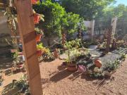 Garden com 3 dormitÃ³rios e pÃ¡tio amplo na Zona Norte