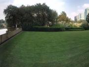 Garden house la punta