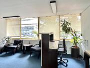 GARDEN HOUSE VENTA SINDICALISMO, ESCAND?N I SECCI?N