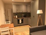 Garden level studio flat with open plan kitchen and...