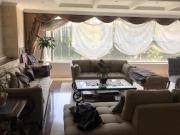 GARDENIAS TECAMACHALCO