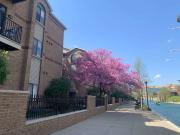 Gardens of Canal Court One Bedroom One Bath 970 976...