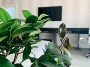 Garstang Road, Fulwood, Preston PR2, 1 bedroom flat to...