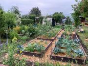 Garten in Coschütz Garten in Coschütz