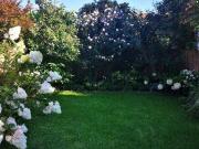 Gartenwohnung in Maxglan