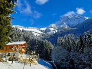 Gartenwohnung mit traumhaftem Ausblick