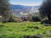 GATTIERES Provence Alpes Côte d'Azur 06510 91614797 GATTIERES Provence Alpes Côte d'Azur 06510 91614797