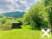 Gediegener Familienwohnsitz am Land!