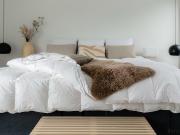 Geidorf Hasnerplatz und Murpromenade Nähe, gepflegte...