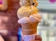 Gelateria in vendita a Venezia