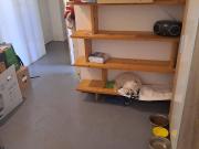 Gemeinde Wohnung gültiger wohnticket bis 31.4.2025