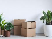 Gemütliche 2 Zimmer Wohnung + provisionsfrei