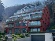 Gemütliche 2 Zimmer Wohnung umgeben von Wald und Donau...