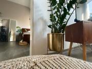 Gemütliche 2 Zimmerwohnung im Nordend