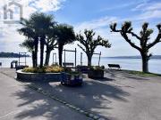 Gemütliche 3 Zimmer Wohnung in KN Musikerviertel Gemütliche 3 Zimmer Wohnung in KN Musikerviertel