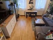 Gemütliche Erdgeschoßwohnung sucht langfristige/n Mieter/In