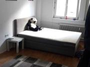 Gemütliche Wohnung im Erdgeschoss in Thörl, Steiermark...