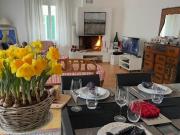 gemütliche Wohnung in Seenähe