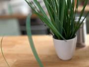 Gemütliche zentrale Dachgeschosswohnung mit Terrasse