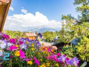 Gemütliches Penthouse mit Panoramablick